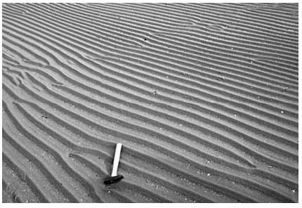 Ripples de onda A forma também depende da velocidade máxima da perturbação no fundo durante cada ciclo.