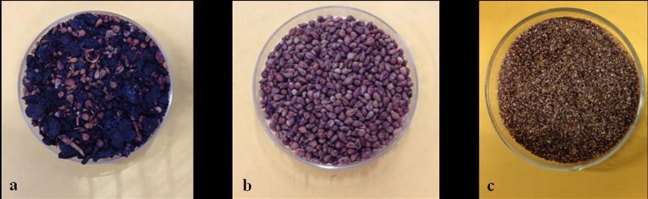 SEMENTE B SEMENTE A Figura 1 Resíduos sólidos da uva (a), sementes de uva (b) e resíduo após moagem e desengorduramento (c) Fonte: elaboração própria.