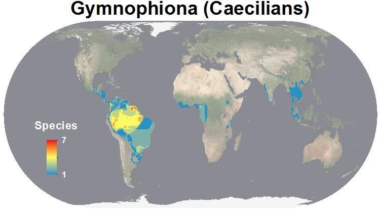 Cecílias 10 Famílias, 35 gêneros, 205 espécies (Frost, 2016) Oriental Neotropical Etiópica (Afro-tropical) Jenkins, CN, SL Pimm, LN Joppa