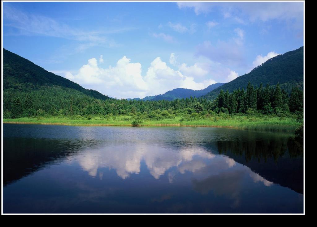 3 DO CONCEITO DE MEIO AMBIENTE 3.1 DO MEIO AMBIENTE. 3.1.1 Conceito de meio ambiente natural o solo, a água, o ar, a fauna e a flora 3.1.2 O bem ambiental solo e o direito de propriedade.