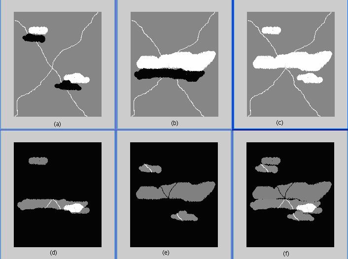 A Figura 8 mostra o resultado desta metodologia aplicada para imagens reais.