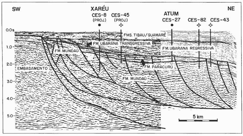Ocorrem, intercalados aos sedimentos desta sequência regressiva, corpos intrusivos de diabásio e extrusivos de basalto (Beltrami et al., 1994).