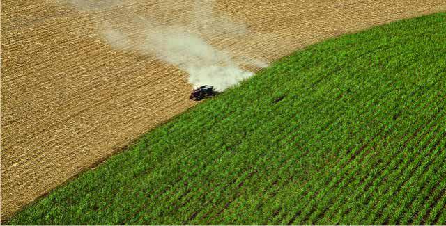 de biocombustíveis, pois os agricultores poderiam visar lucros maiores, na produção de soja, canola e cana-de-açúcar (principais culturas dos biocombustíveis), o que pode contribuir para aumento da