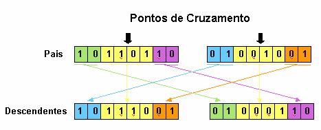 Figura 2. Crosover 2PX Fonte: MOREIRA, 2003, p.17 MPX (Multiple Point Crossover): são sorteados vários pontos de corte para, a partir deles, efetuar a troca (Figura 3); Figura 3.
