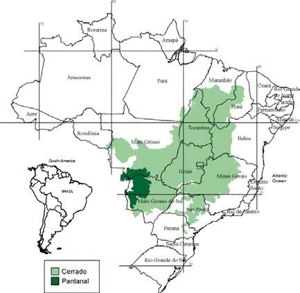 2. Materiais e métodos 2.1 Área de estudo A área de estudo corresponde ao Estado de Tocantins (Figura 1)localizado no sudeste da Amazônia Legal Brasileira, entre as coordenadas 05º09'59.
