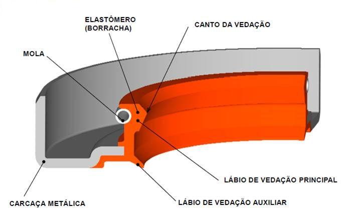 As principais partes que compõe o