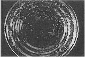 térmico Vazamento das latas Microbiota mista  microbiológica Outros tipos de deterioração