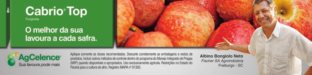 Caderno de Estatísticas - HORTIFRUTI BRASIL Indicadores de Preços -Maçã Maçã - preços coletados pelo Cepea - a Preços médios recebidos por produtores, atacadistas e exportadores (R$/cx de 18 kg para