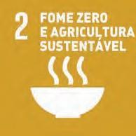 A resposta (tímida) da ONU foi estimular suas agências, programas e fundos (como a OMS, OIT, FAO, UNICEF, PNUD, entre outras) a realizarem conferências mundiais no transcorrer da década de 90 em