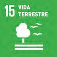 sustentável e da concretização da Agenda 2030 e dos ODS, completa os ventos que vem do Norte.