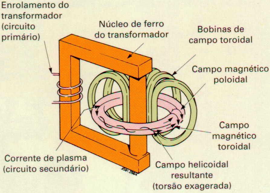 Stellarator Museu da