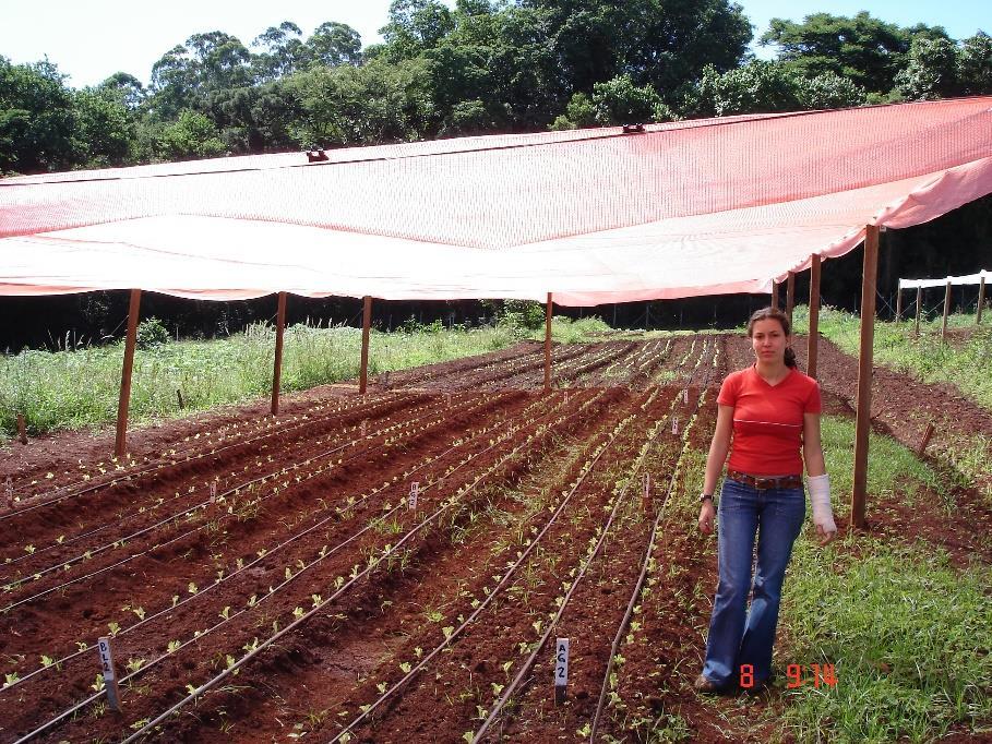 Produção