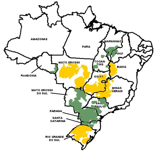 Retrospectiva Safra 2002/03 Perdas de 3,4 milhões de ton US$ 737,4 milhões Controle Químico US$ 426,6 milhões (US$ 28,90/ha