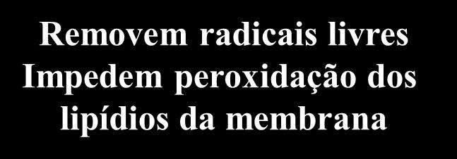 dismutase Glutationa redutase Ascorbato