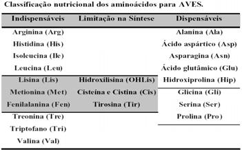 Aminoácidos e os Animais Antagonismo ou Competição entre Aminoácidos Ruminantes: sintetizam todos os aas que necessitam devido à simbiose com as bactérias ruminais ; Vacas leiteiras de alta produção: