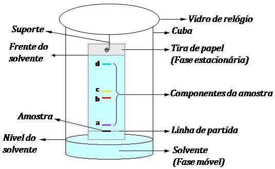 b. A cromatografia em papel É a separação dos componentes de uma mistura homogênea em função das suas solubilidades (polaridades) relativas.