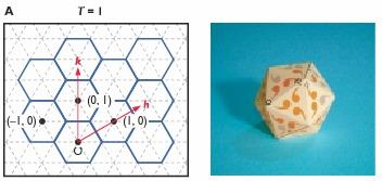 Número de triangulações (T) 12 hexâmeros