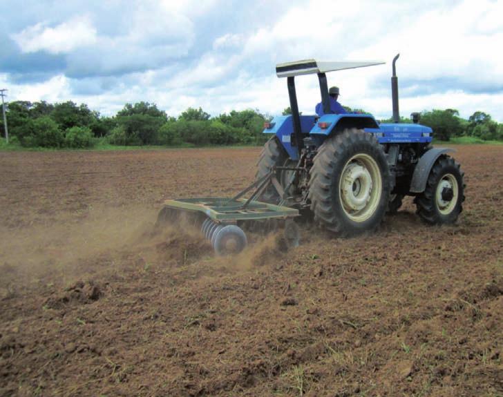 Escolha da área: deve-se escolher as porções da área que têm aptidão agrícola à implantação de forrageiras para o corte ou pastejo.