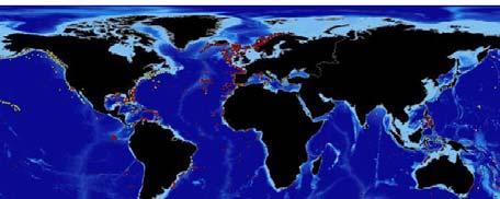 edu/deep-sea-corals - Muito variados em forma, cores e tamanho - Pólipos mm a 10 m altura - Recifes + 40 km http://ocean.si.