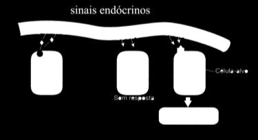 A molécula sinalizadora (AGENTE LOCAL) se difunde entre elas pelo interstício.