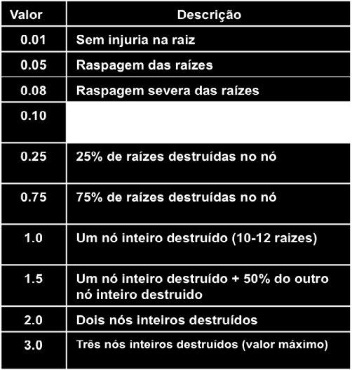 a VT após ventos fortes em solos