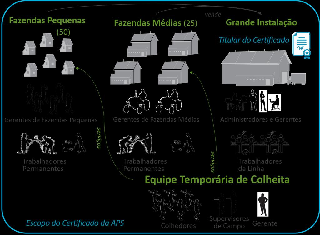 Fazendas: Há 50 pequenas fazendas e 25 fazendas de tamanho médio, totalizando 75 fazendas, que vendem para a embaladora. 5.1.2. Trabalhadores no Escopo do Certificado: Versão 1.0.0 Trabalhadores da Embaladora: 250 funcionários, dos quais 225 são trabalhadores da linha.