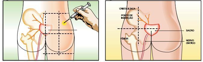 5.1 Administração