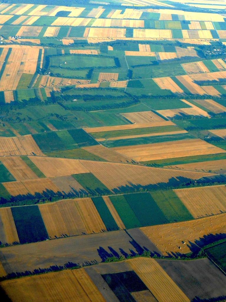 Agricultura: apresentado Sistema de Identificação Parcelar O Sistema de Identificação Parcelar é uma medida Simplex, que tem como objetivo disponibilizar informação sobre as parcelas das explorações