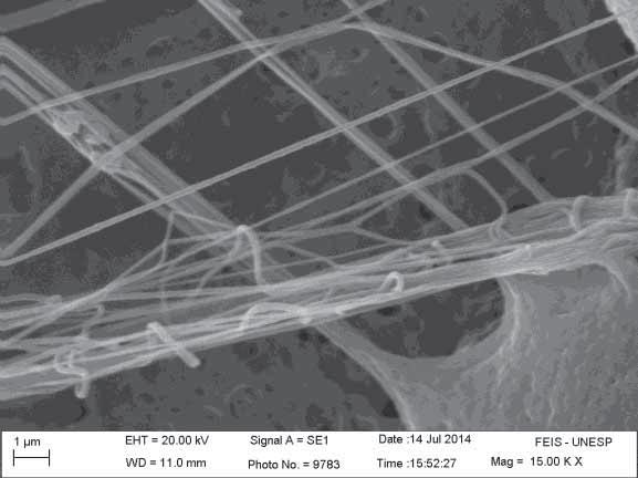 51 Figura 20- Micrografias da manta obtida pela técnica de FSS, contendo a concentração em massa de 12,5% de PVDF,