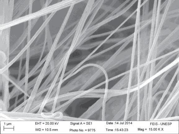 É possível observar um aglomerado de fibras de estrutura porosa que se encontram aleatoriamente dispersas, sem orientação