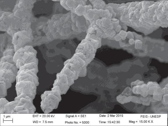 As micrografias 36a e 36b ilustram a morfologia das nanofibras tratadas termicamente a 800 C.