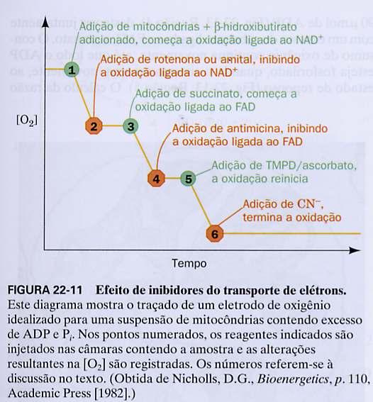 Estabelecimento da sequência de