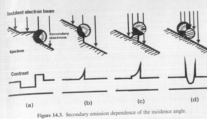 Electrões secundários Feixe de electrões incidente amostra
