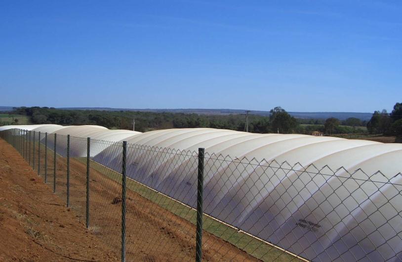 Alternativas de Tratamento de Efluentes na Produção de Suínos Sob a Ótica da Redução da Emissão de Carbono