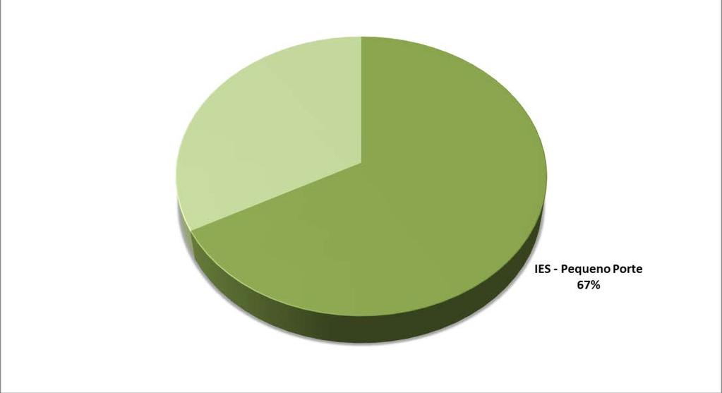 REPRESENTATIVIDADE PMIES NA REDE PRIVADA Número de IES Matrículas IES - Pequeno Porte 23% Demais IES 33% Demais IES 77% IES com mais de 3 mil