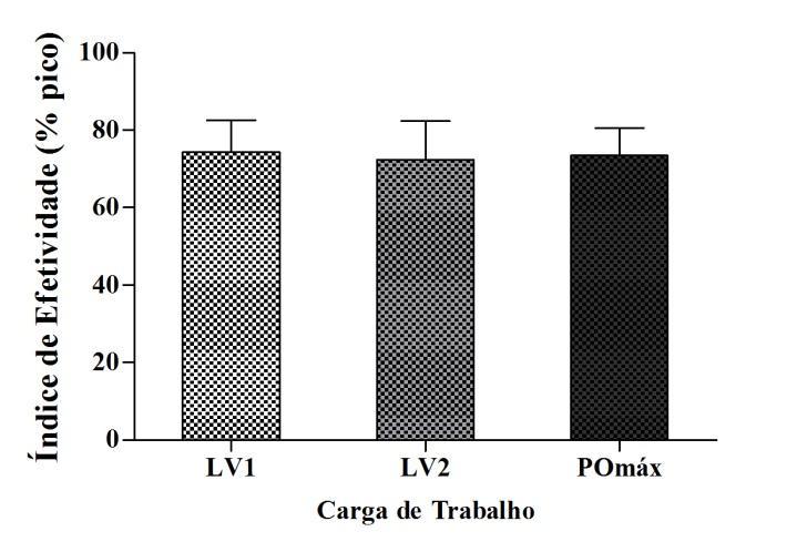 Também cabe ressaltar que os autores realizaram um teste de exaustão com carga corresponde à carga máxima adotada no teste incremental.