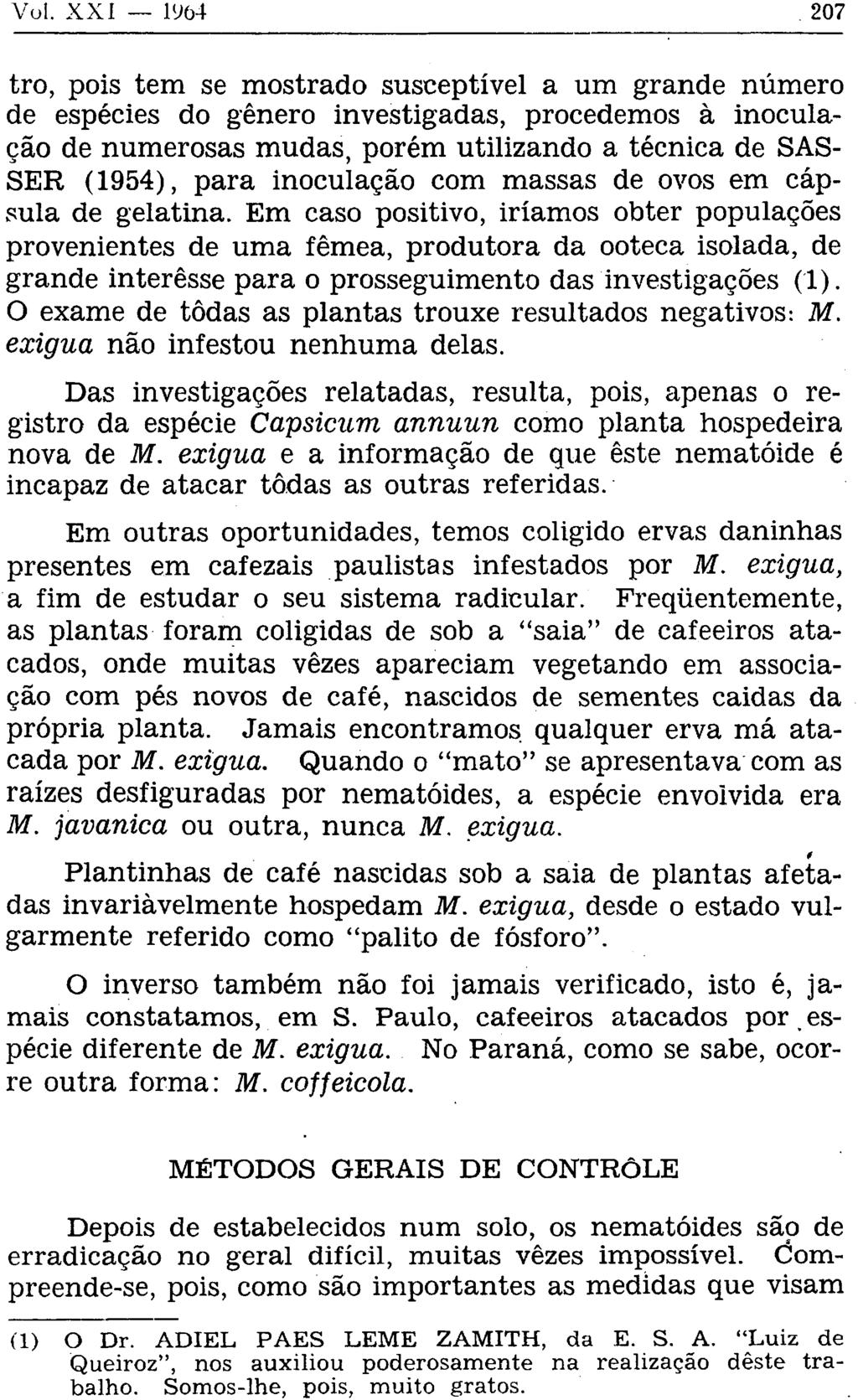 tro, pois tem se mostrado susceptível a um grande número de espécies do gênero investigadas, procedemos à inoculação de numerosas mudas, porém utilizando a técnica de SAS- SER (1954), para inoculação