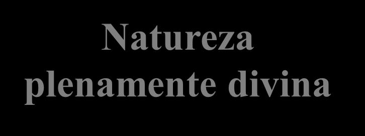 pecado Natureza plenamente