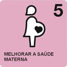 Objectivo 5: Melhorar a saúde materna Meta 6: Reduzir em três quartos, entre 1990-2015, a taxa de mortalidade materna.