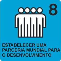 Objectivo 8: Promover uma parceria mundial para o Desenvolvimento Meta 16: Em cooperação com os Países em Desenvolvimento formular e aplicar estratégias que proporcionem aos jovens um trabalho digno