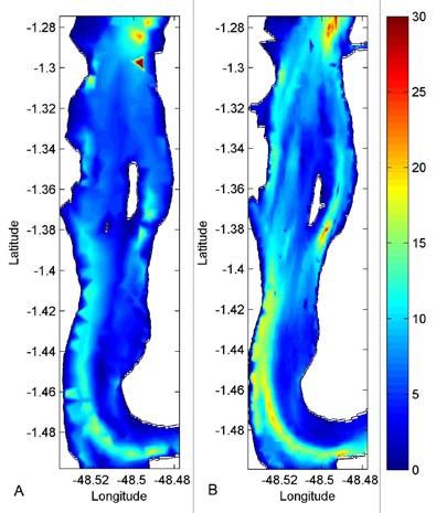 Elaborado por Alan Blumberg e George Mellor na década de 70, o POM é um modelo numérico tridimensional, não linear, com superfície livre e de equações primitivas resolvidas por diferenças finitas