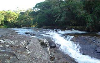 a) rio Itatinga (23 44 S and 46 09 W); b) rio Itatinga (23 44 S and 46 09 W); c) rio Itatinga (23 44 S and 46 09 W); d) stream