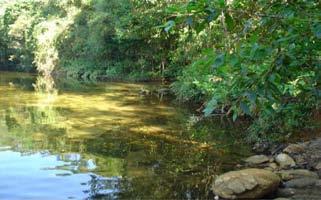 right bank of rio Itatinga (23 47 S and 46 11 W); g) stream mouth in the right bank of rio Itatinga (23 46 S and 46 10 W); h)