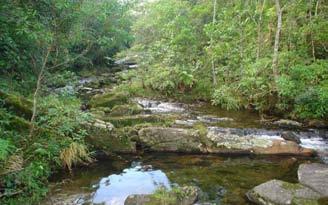 Abundance of fish species according to the collecting sites in the Parque das Neblinas, Bertioga municipality, São Paulo state,