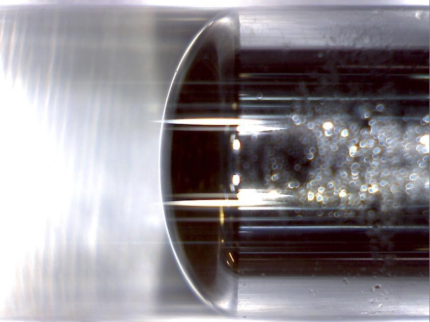Figura 6: Menisco da interface água mercúrio visualizado pelo microscópio.