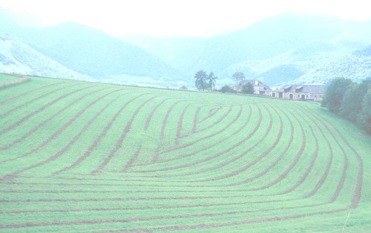 Mercados Energéticos Energias Renováveis (V): Biomassa A biomassa apresenta-se sob várias formas: Resíduos florestais e agrícolas Biogás de aterro ou de digestão anaerobia Biocombustíveis (etanol,