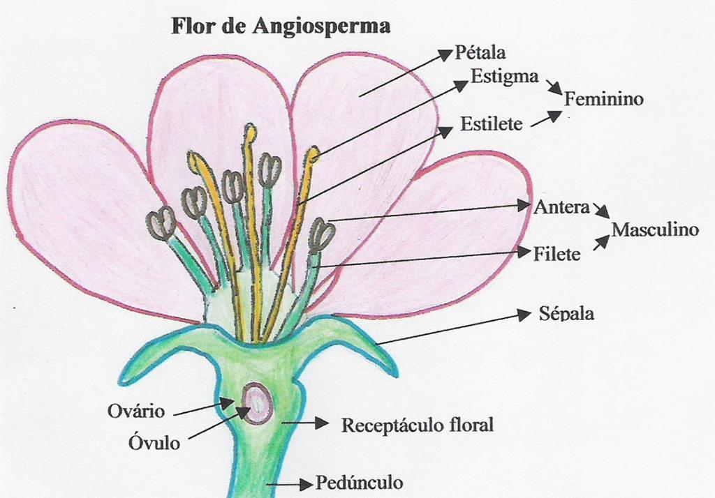 EM UMA FLOR