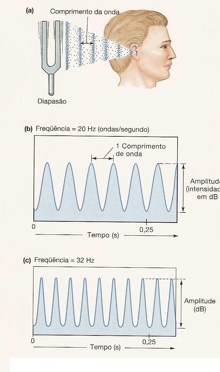 Classificação do Som: Amplitude é uma medida da intensidade do som cuja unidade é Decibéis db VOLUME DO SOM Freqüência é uma medida da qualidade do som agudo ou grave cuja unidade é hertz (Hz) ou