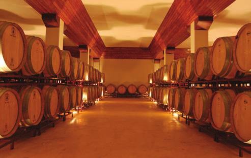 Começamos, como começam todos os grandes vinhos, na vinha. Não foi uma escolha fácil, Portugal é um país agraciado por um sem número de locais de excelência de produção de vinho.