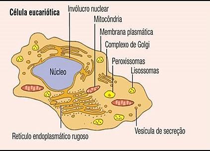 TIPOS DE